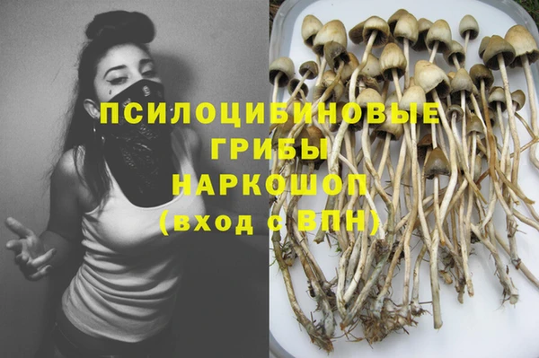 СК Алзамай