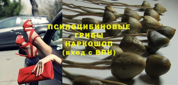 молекула духа Алексин