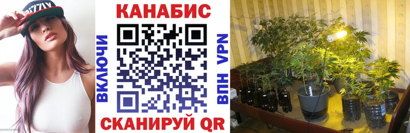 Бошки Шишки OG Kush  hydra зеркало  Лебедянь  как найти  